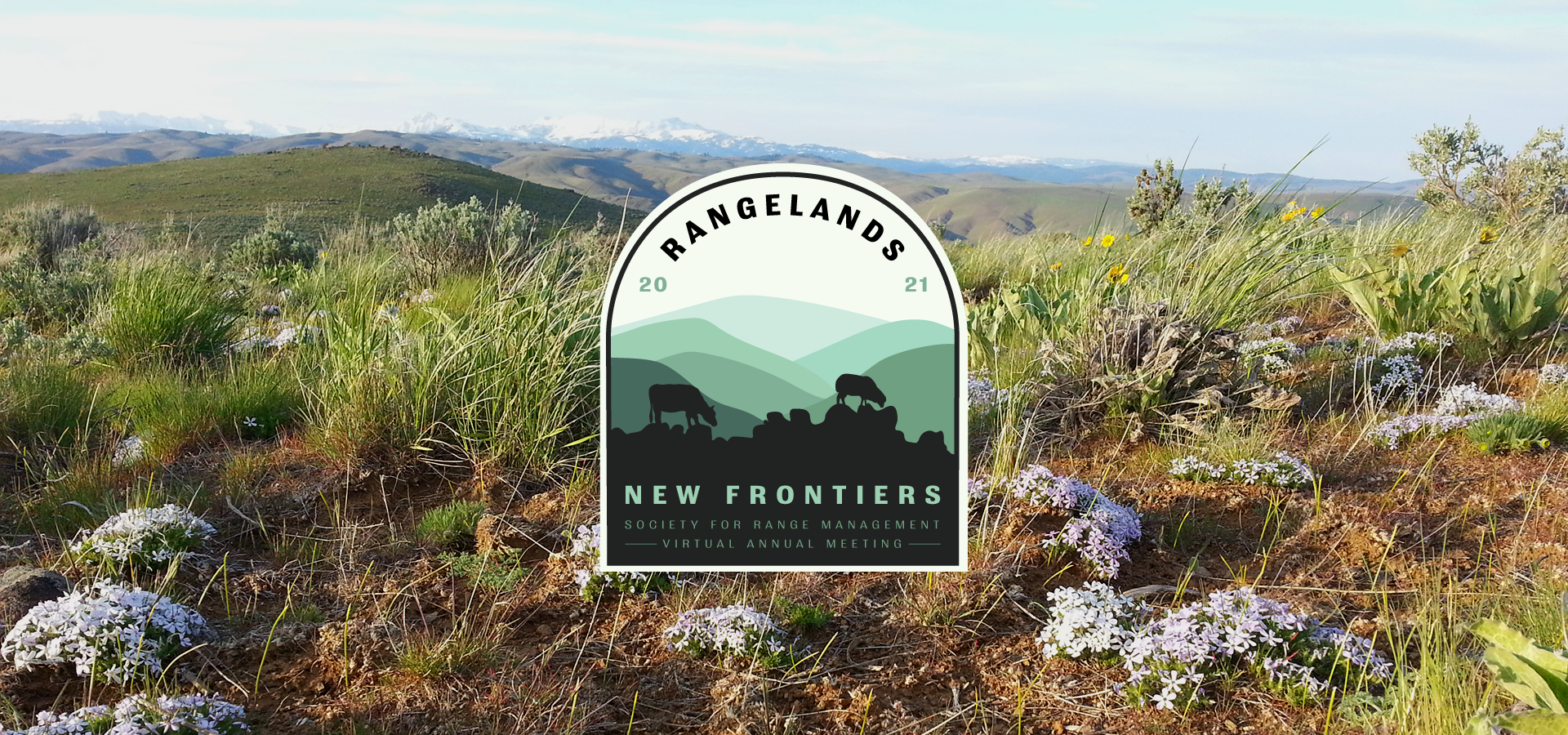 homepage-slider-grazing grazing-logo